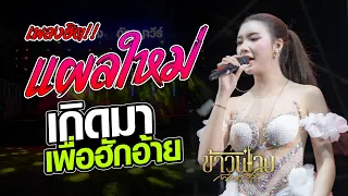 #เพลงฮิต แผลใหม่ / เกิดมาเพื่อฮักอ้าย / เมื่อความฮักเก่าน้องสิเหงาบ่ | ข้าวฟ่าง กัญญาวีร์ | แสดงสด
