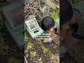 Download Lagu Andai angin mengulang sebuah masa yg tlah usang , kan ku telan isi bumi hanya untukmu #fyp
