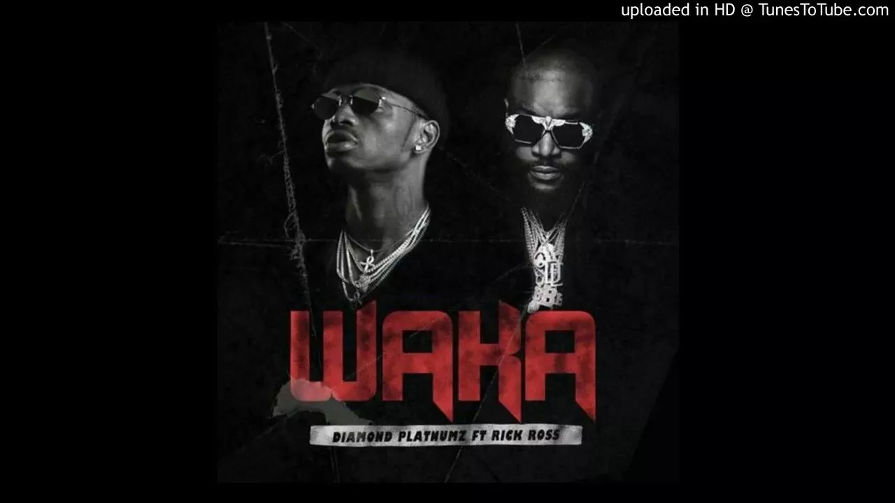 Diamond Platnumz ft  Rick Ross – WAKA (NEW SONG 2017)