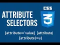 Attribute Selectors In CSS - EXPLAINED