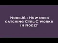 NodeJS How does catching Ctrl-C works in Node