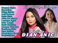Download Lagu MANGAN DUGAL || DIAN ANIC || Lagu Tarling Indramayu Cirebonan