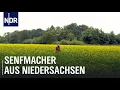 Download Lagu Senf - Der Scharfmacher des Nordens | Die Nordreportage | NDR Doku