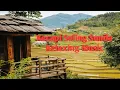 Download Lagu Merdunya Suling Sunda Diiringi Suara Burung Berkicau Di Hamparan Sawah