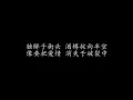 独醉街头 谭咏麟 (歌词版)