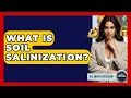 What Is Soil Salinization - All About Capitalism
