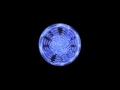 BLOND:ISH - Inner Jungle (Welcome To The Present) [Kompakt]