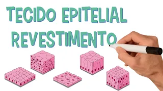 ✅ TECIDO EPITELIAL DE REVESTIMENTO | Histologia