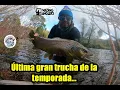 Download Lagu última gran trucha de la temporada... Pesca con mosca en ríos del sur de Chile.