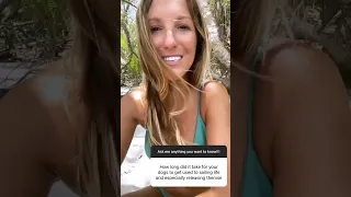 Your dogs live on your boat?! #shorts #boatdog  #boatlife