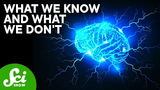 Why Do Antidepressants Cause Brain Zaps