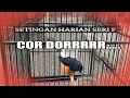 Lagu rawatan harian murai batu seri f/Borneo/bordan agar gacor dor full fighter