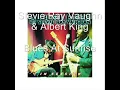 stevie ray vaughn & albert king - blues at sunrise