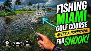 4 Strand 8 Strand Braided Fishing Line Whats The Difference