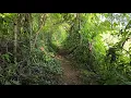 Download Lagu Estos Caminos son muy Antiguos Posiblemente mas de 100 años desde que acá eran Haciendas 