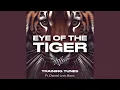 Download Lagu Eye of the Tiger (Original mix)