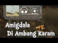 Download Lagu Di Ambang Karam - Amigdala | Lirik