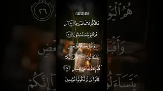 سورة الصافات مالكم لاتناصرون بل هم اليوم مستسلمون وأقبل بعضهم على بعض يتسألون الاية ٢٥ الى ٢٩ 