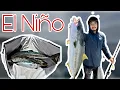 This Yellowtail Bite is INSANE on the Redondo Special