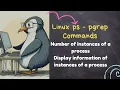Monitoring Process Instances PID PPID Owner and Elapsed Time in Linux with Bash Script