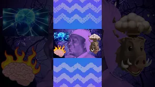 Ne Win S Pyidawtha Plan Explained 