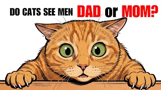 Do Cats See Men as Dads or Owners The Answer Might Surprise You