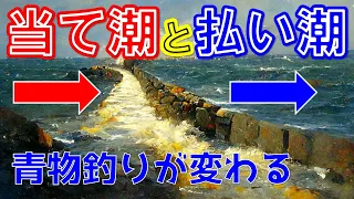 【当て潮と払い潮】青物を狙って釣る人は知っている見分け方２選