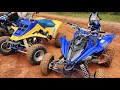 Quadzilla vs Raptor 700r