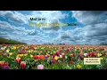 Download Lagu Karaoke HD \