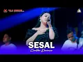 Download Lagu SESAL - CANTIKA DAVINCA - OM SAVANA SAKJOSE - THE WEDDING ( OKI \u0026 PUPUT )
