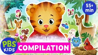 Daniel Tiger s Neighborhood Daniel s Nature Adventures Compilation PBS KIDS