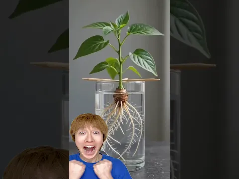 Testing with green chili peppers  #funny#ai#chilipeppers#experiment#shorts