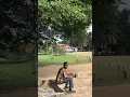 Download Lagu 🐂 #comedyvideos #funny #funnyvideos #comedy #fyp #fypシ #viral #viralvideo #lasu # follykupid