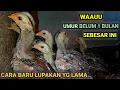 Download Lagu Tinggalkan Cara Lama Pakai Cara Baru ini Kalau Ingin Cepat Besar