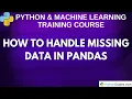 How to Handle Missing Data in Pandas