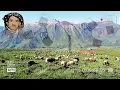 Download Lagu حەسەن زیرەک/هەڵبژاردە مەجلسی/hasan zirak/majlsi/#hasanzirak #حەسەن_زیرەک #گۆرانی #گۆرانی_رۆژهەلات