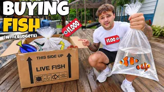 BUDGET FISH SHOPPING for My Backyard PONDS!! ($1 vs $1,000)