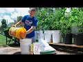 How to Grow a Garden in Containers
