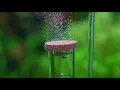 Download Lagu Neo Co2 Diffuser working (Slow motion)