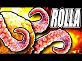BALL IS LIFE ROLLA Demo