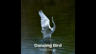 Dancing Bird - Natalie Kirkpark
