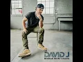 David J - BRIDGE WON'T BURN (Official Audio)