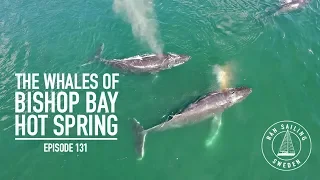 The Whales Of Bishop Bay Hot Spring – Ep. 131 RAN Sailing