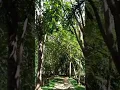 Download Lagu video heboh di taman Marabahan Kalsel Kalimantan Selatan#shorts
