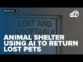 Amarillo animal shelter uses AI to reunite lost pets with families