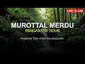 Download Lagu Alquran Merdu Pagi Hari: Bangun dengan Lantunan Ayat Suci yang Indah