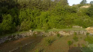 ابو خصير اللاوي 