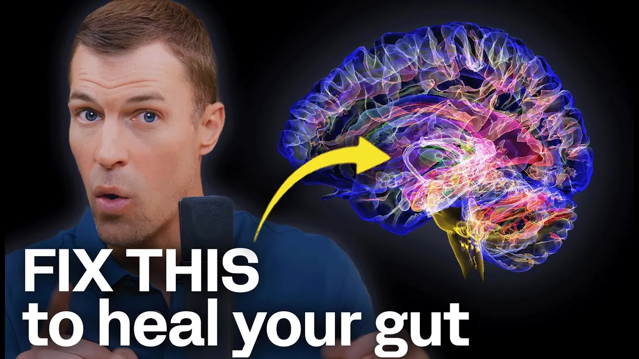 This Is What Happens to Your Brain When You Heal Your Gut
