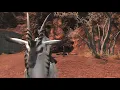 FFXIV Shadowbringers 5 5 Antelope Stag Mount