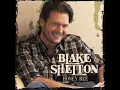 Blake Shelton - Honey Bee